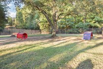 Exercise park for dogs